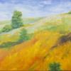 Mt  Diablo Poppies
24 x 30 Oil on Canvas